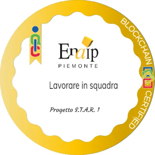 Badge pubblico 40856